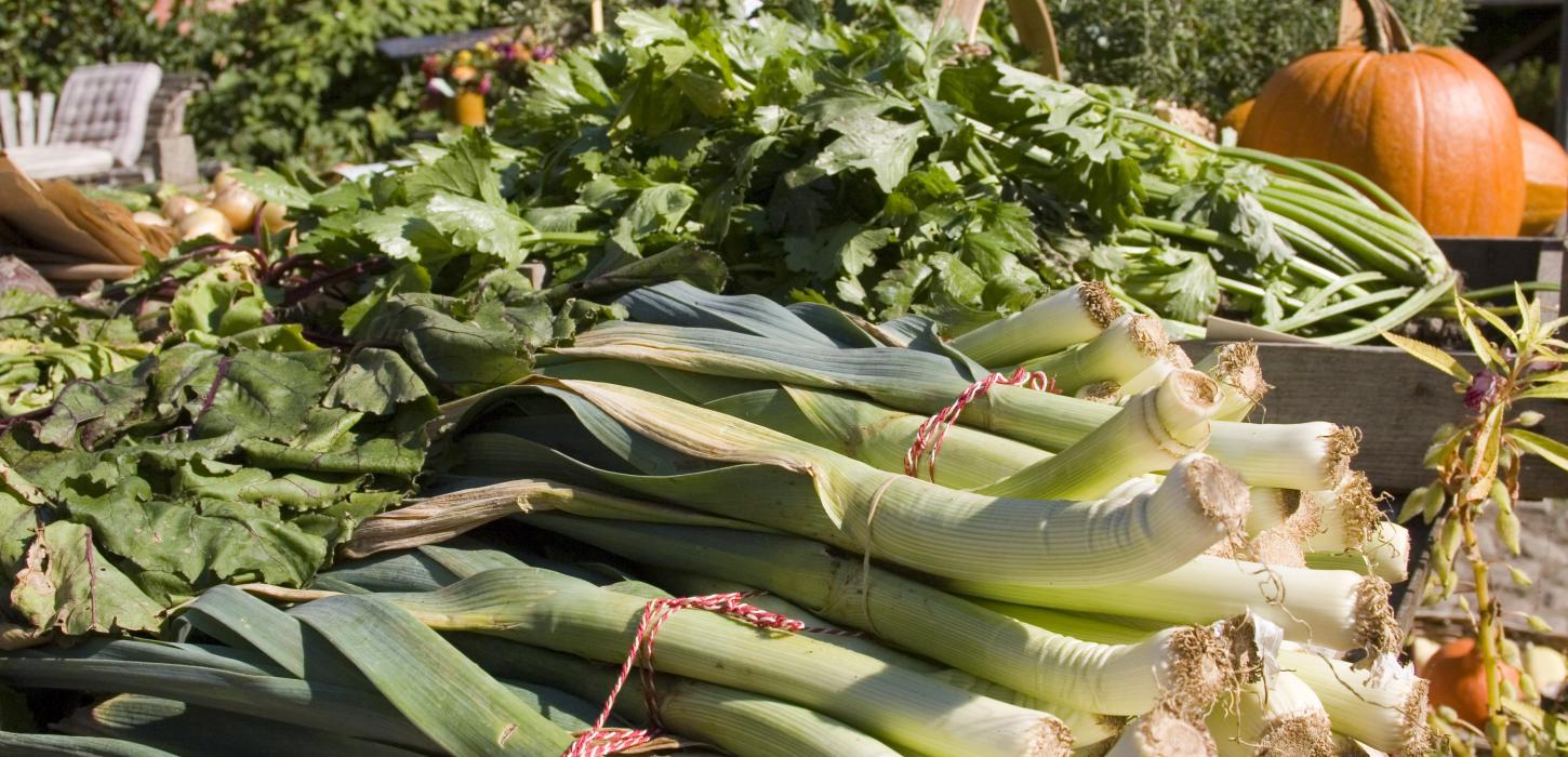 find lokale råvarer