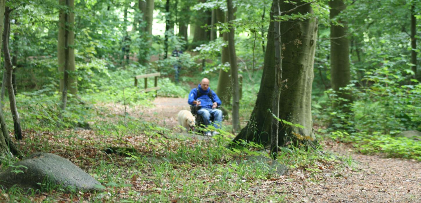Skovsgård sti
