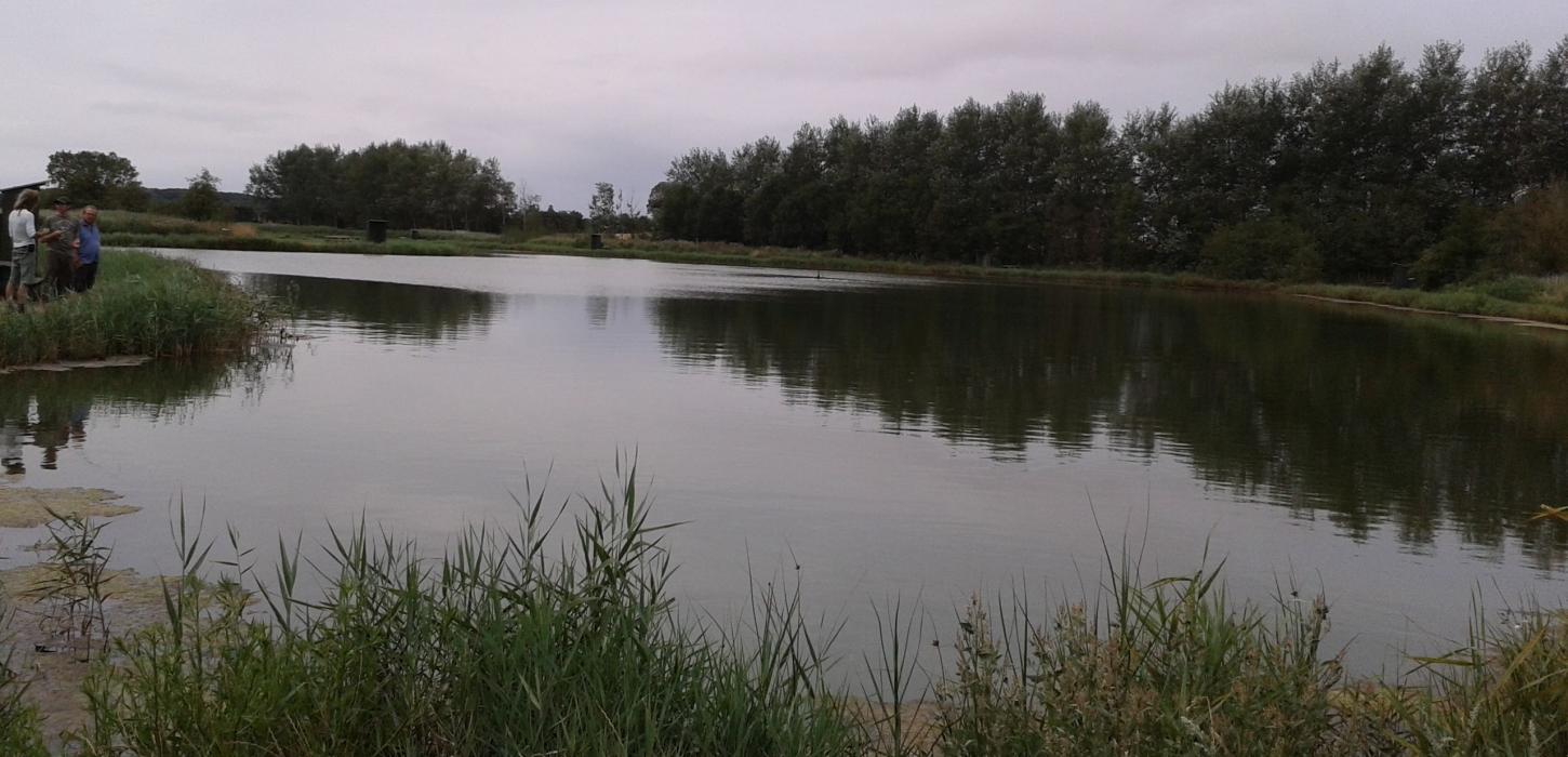 Spodsbjerg Lystfiskersø