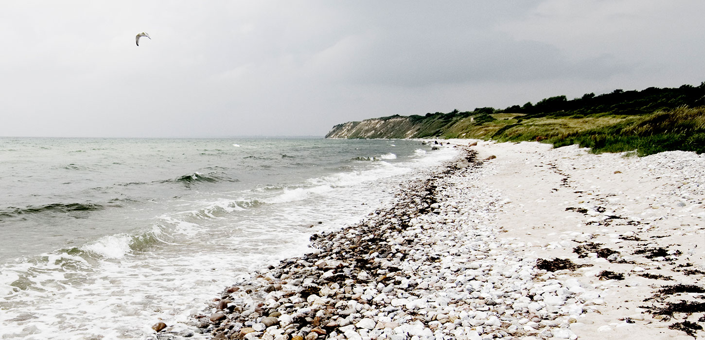 Den 30 meter høje klint rejser sig fra stranden