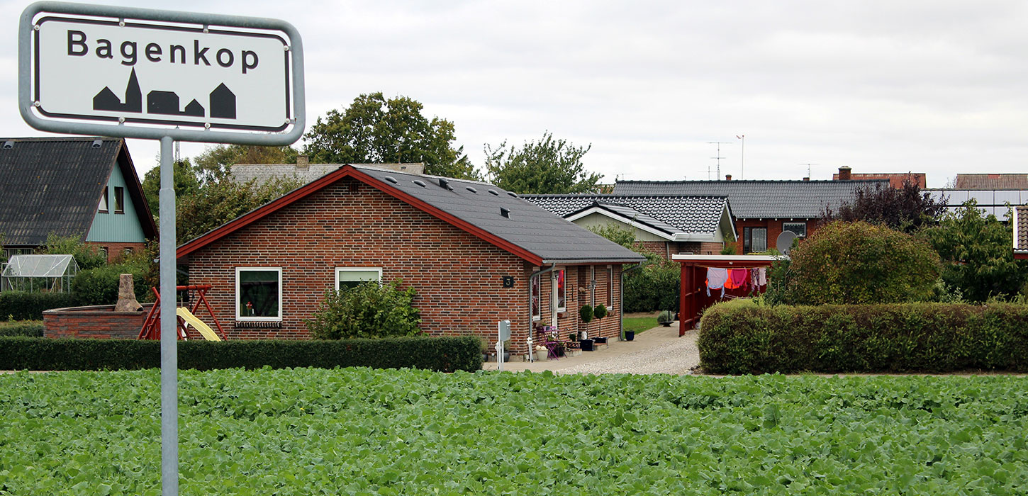 Huse i Bagenkop på Sydlangeland