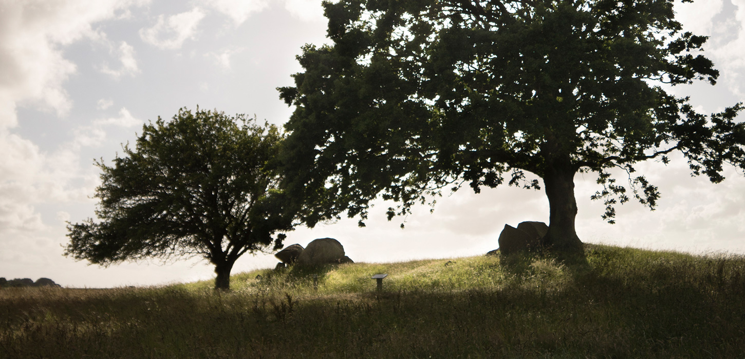 Fortidsminde Ravnebjerg