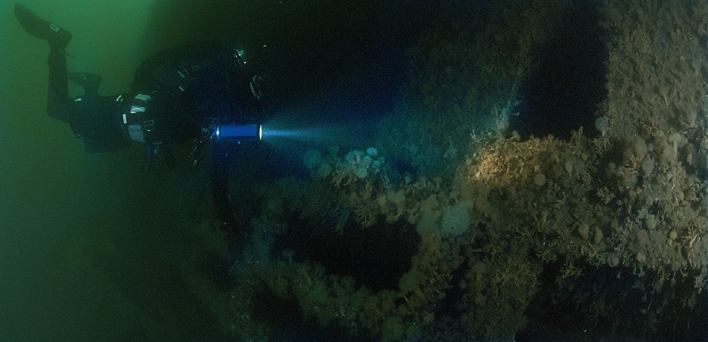 Vragdykning på "Den Omvendte"