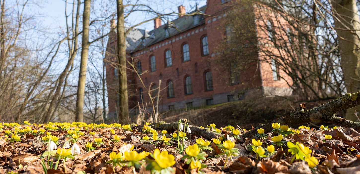 Forårsblomster på Skovsgaard Gods