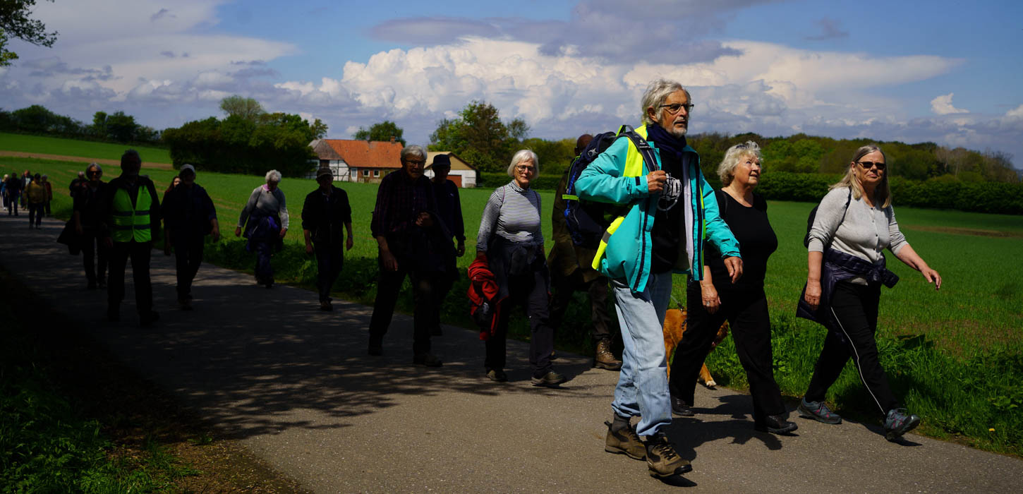 Sti-venner en guidede vandretur