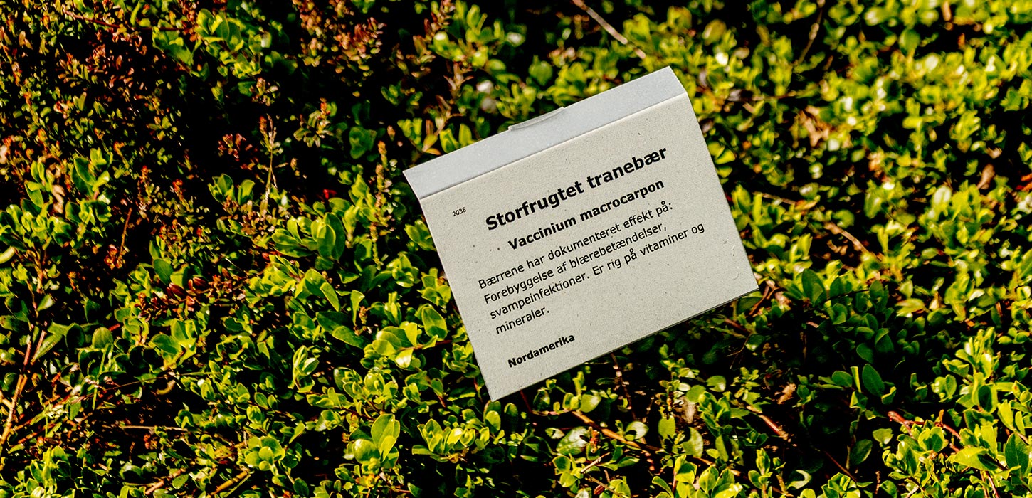 Medicinhaverne i Tranekær