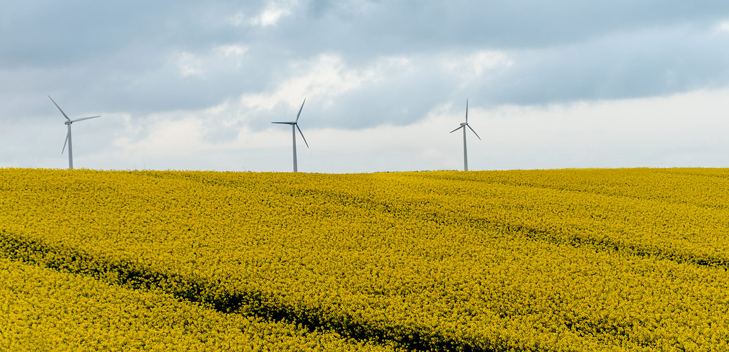 Vindmøllerne på Langeland dækker 164% af øens strømforbrug