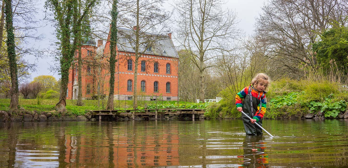 Skovsgaard Gods Kys frøen