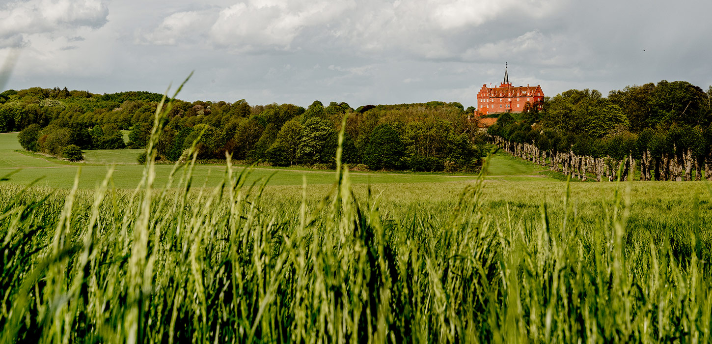 Mark og skov med Tranekær Slot i baggrunden 