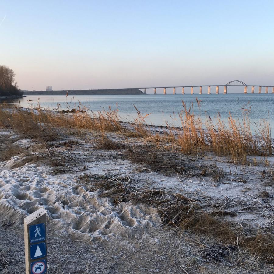 Øhavsstien i frostvejr - med kig til Langelandsbroen. Vinterferie på Langeland