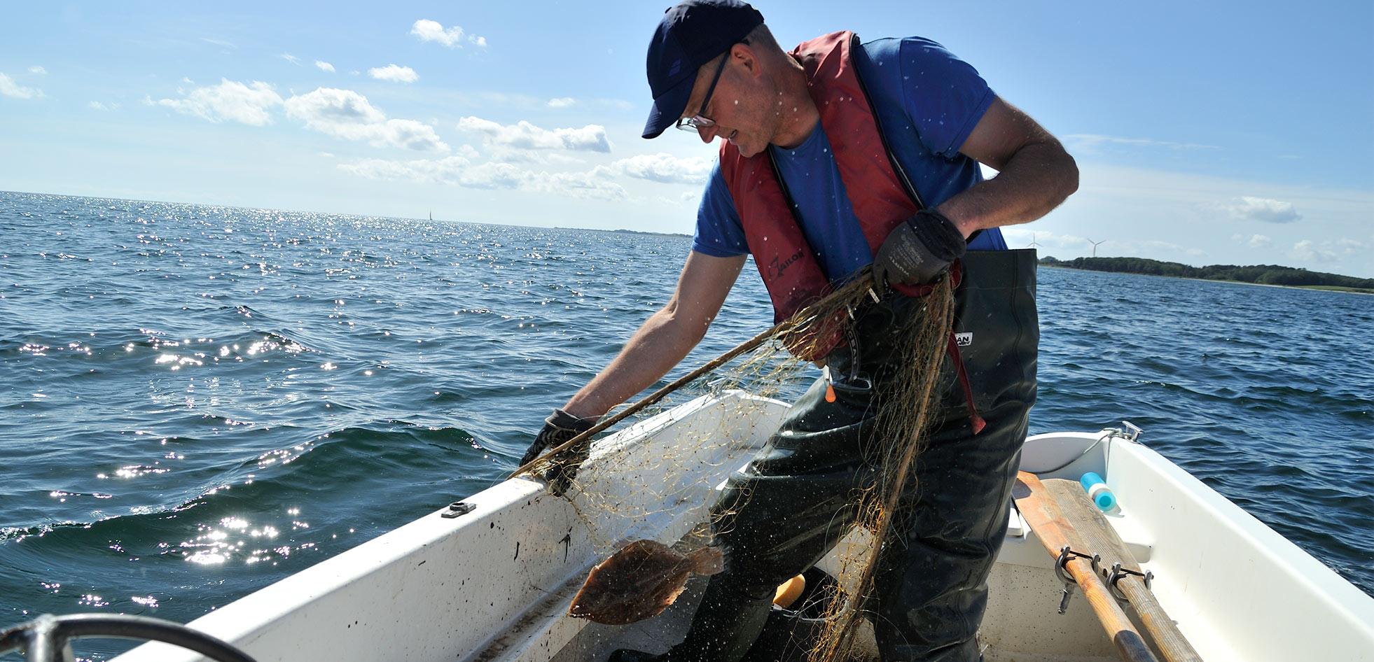 Friskfanget fisk i garn