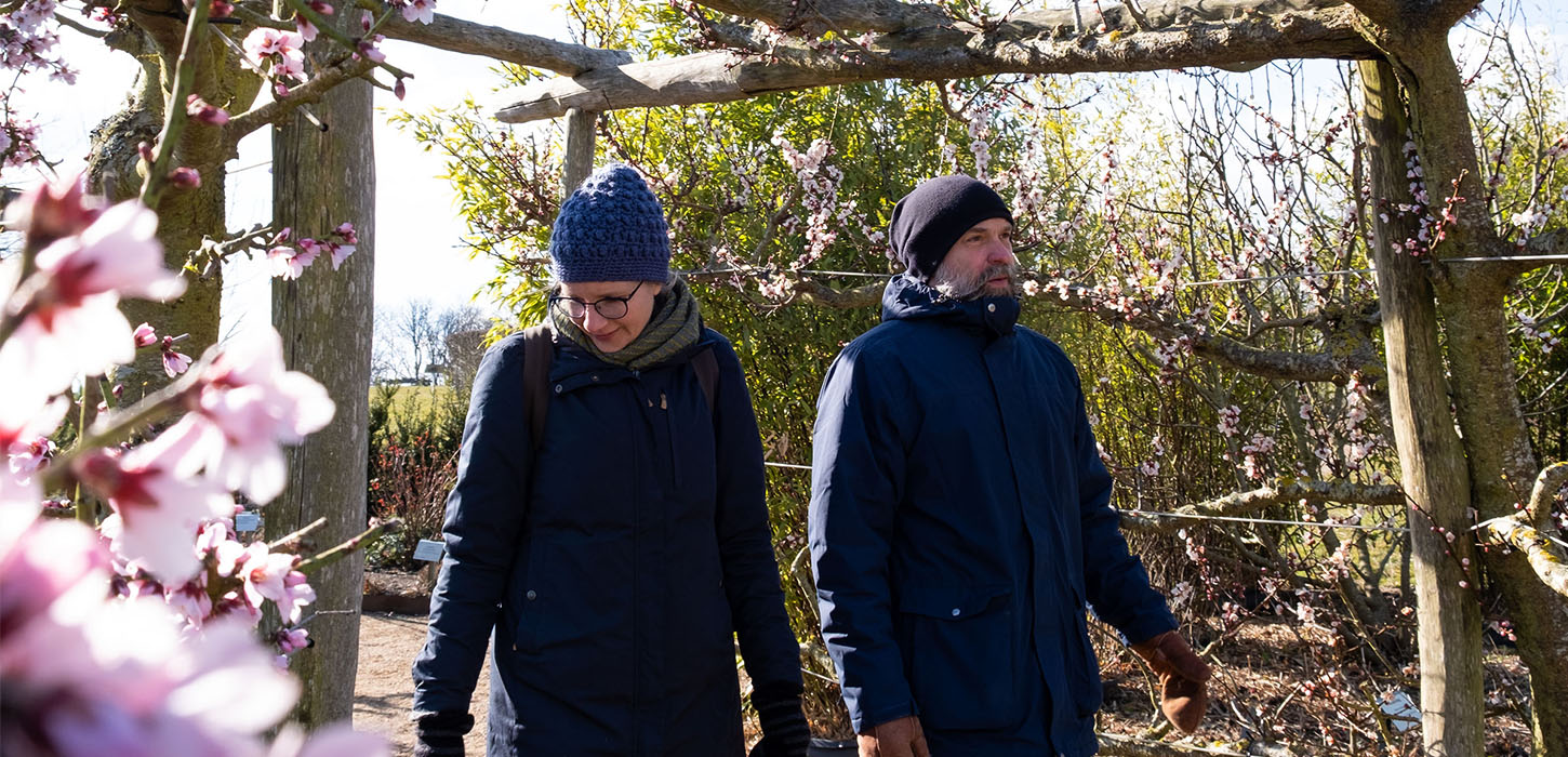 Oplev foråret på Langeland