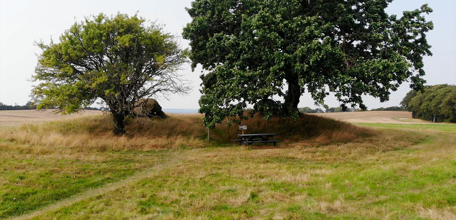 Stendyssen Kong Renes høj