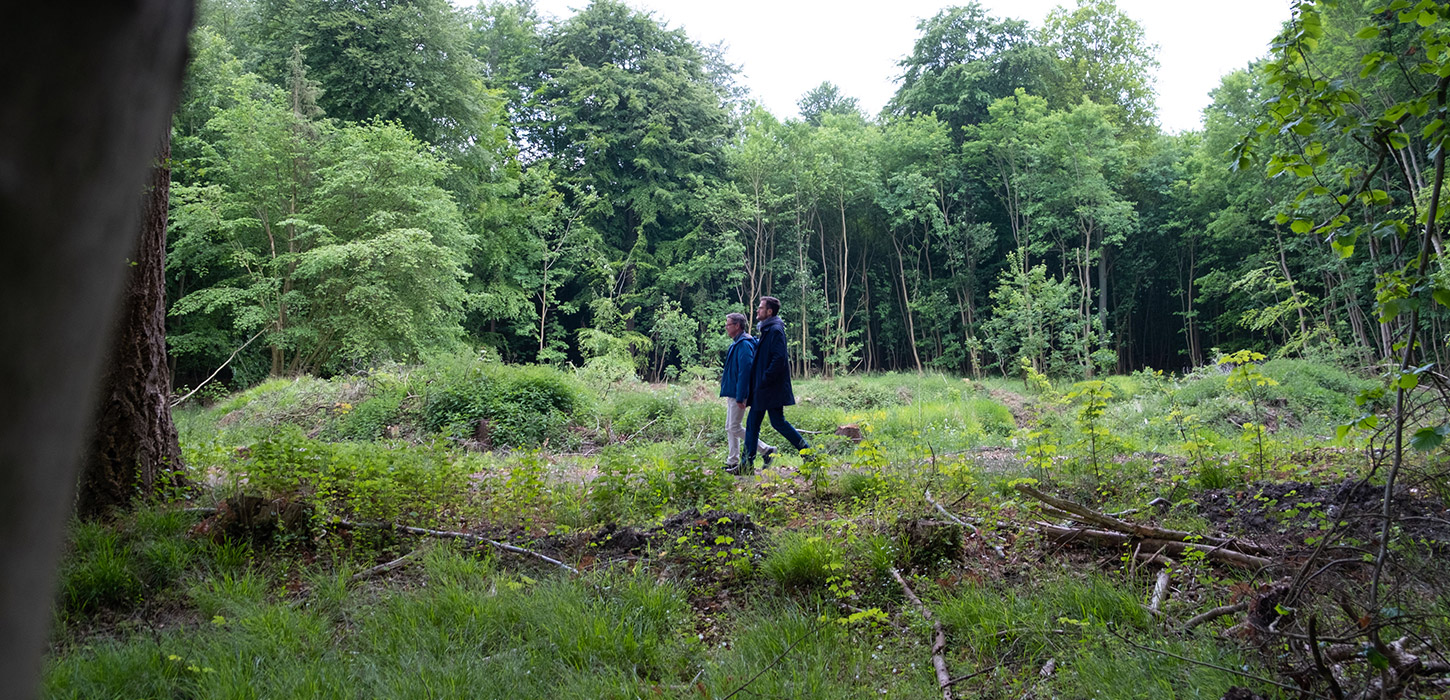 Par på gåtur i Stengade Skov