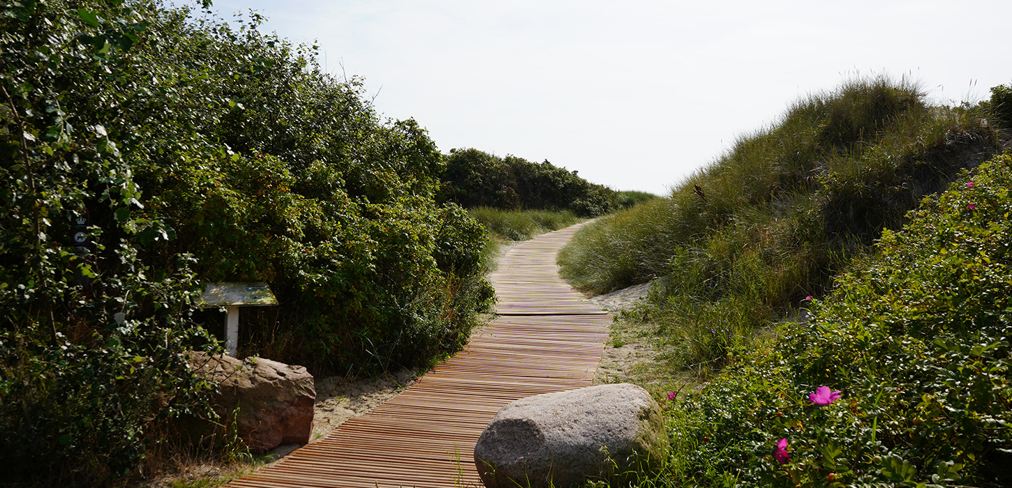 - handicapvenlig strand