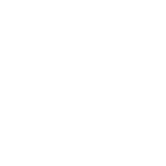 logo Region Syddanmark