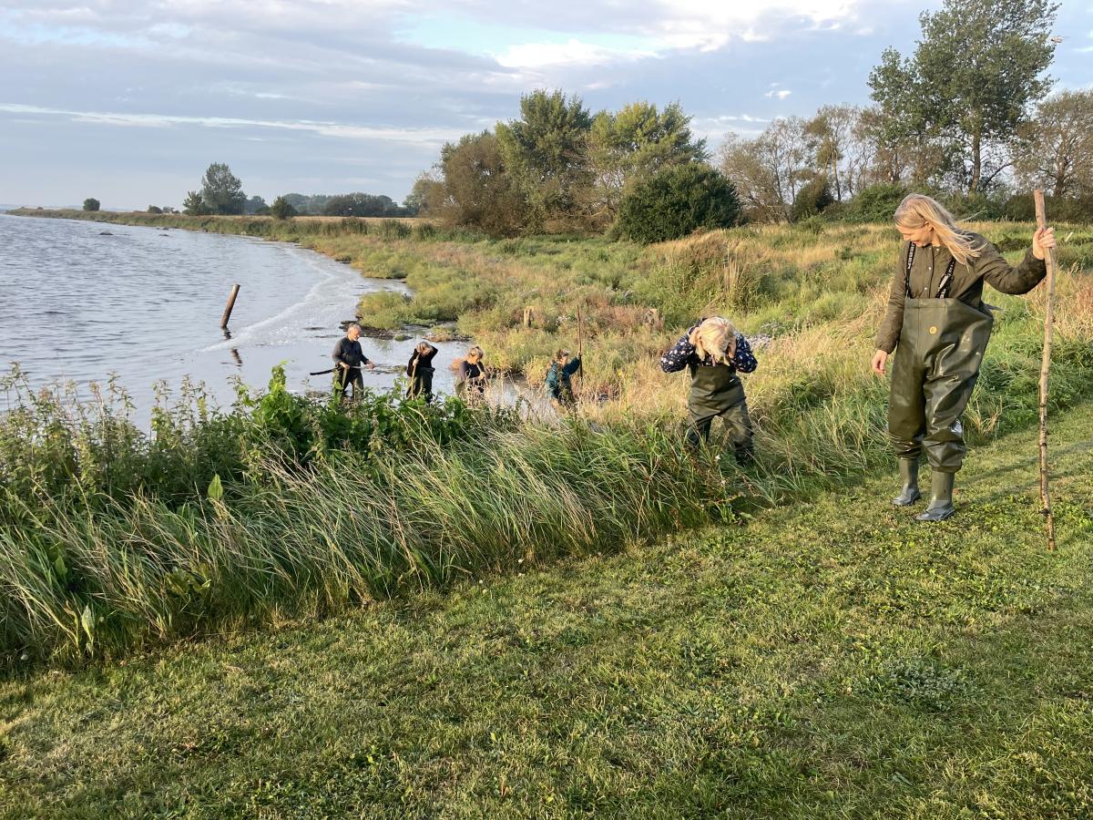 Smakkecenteret Strynø