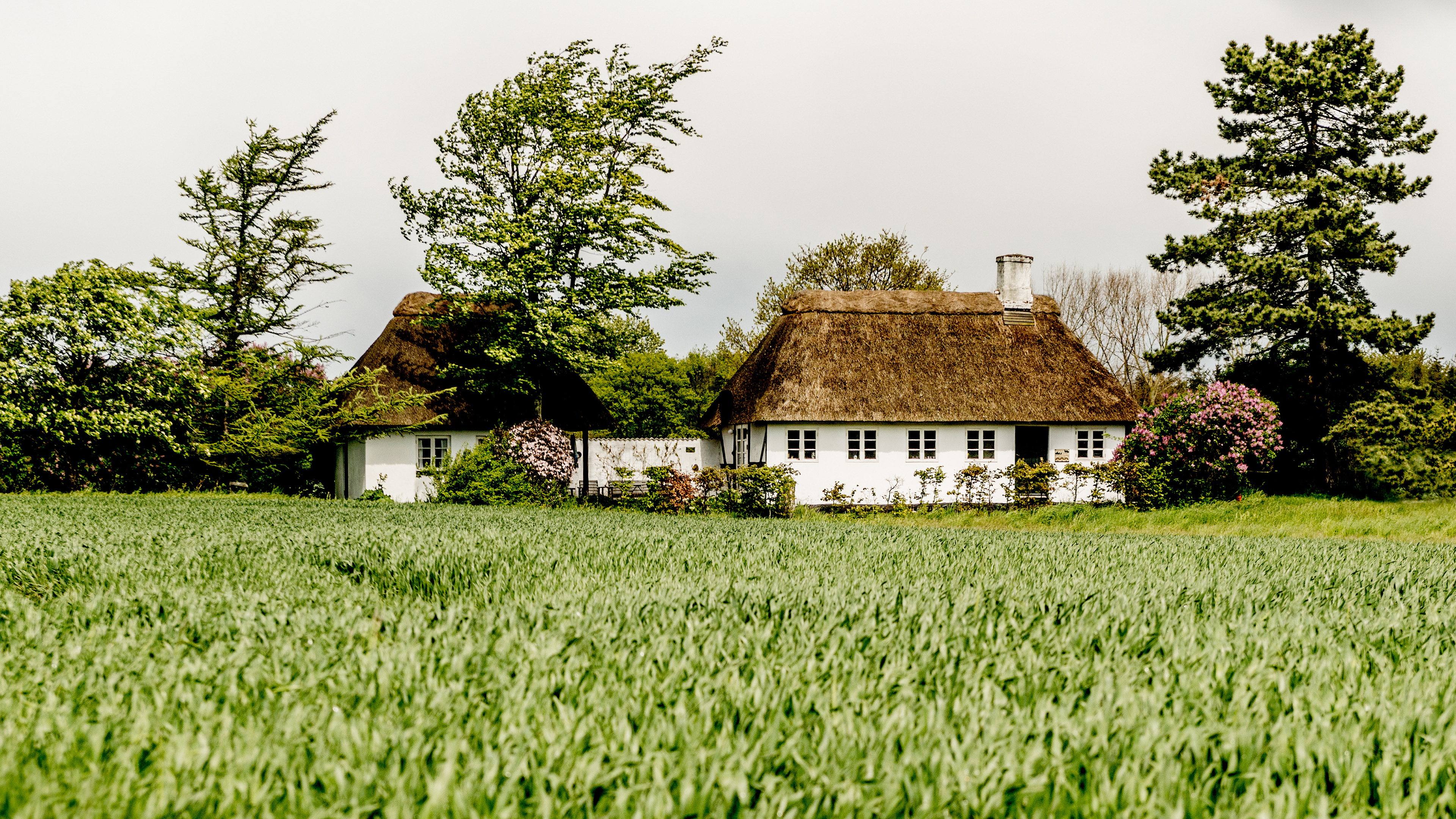 Bondehus på Langeland