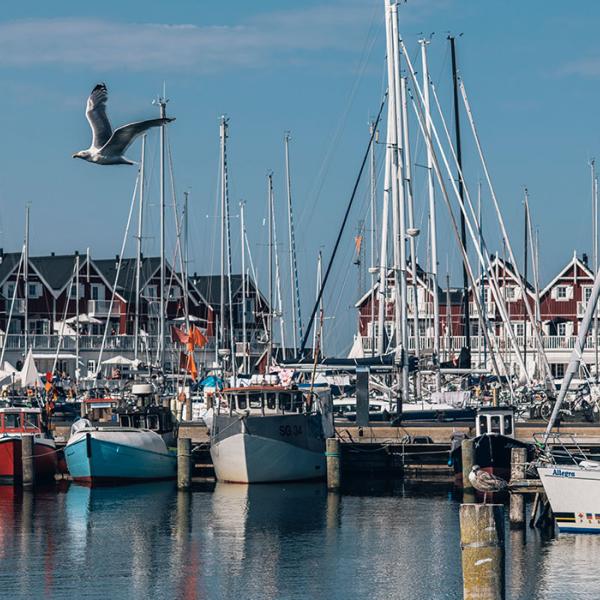 Både i havnen i Bagenkop på Langeland