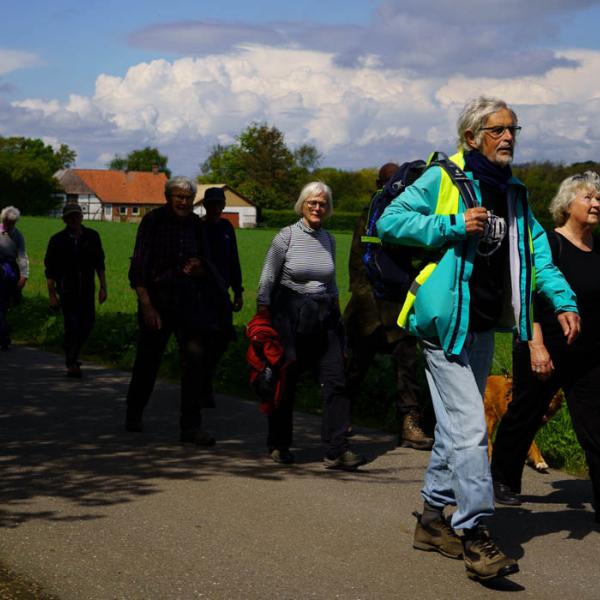 Sti-venner en guidede vandretur