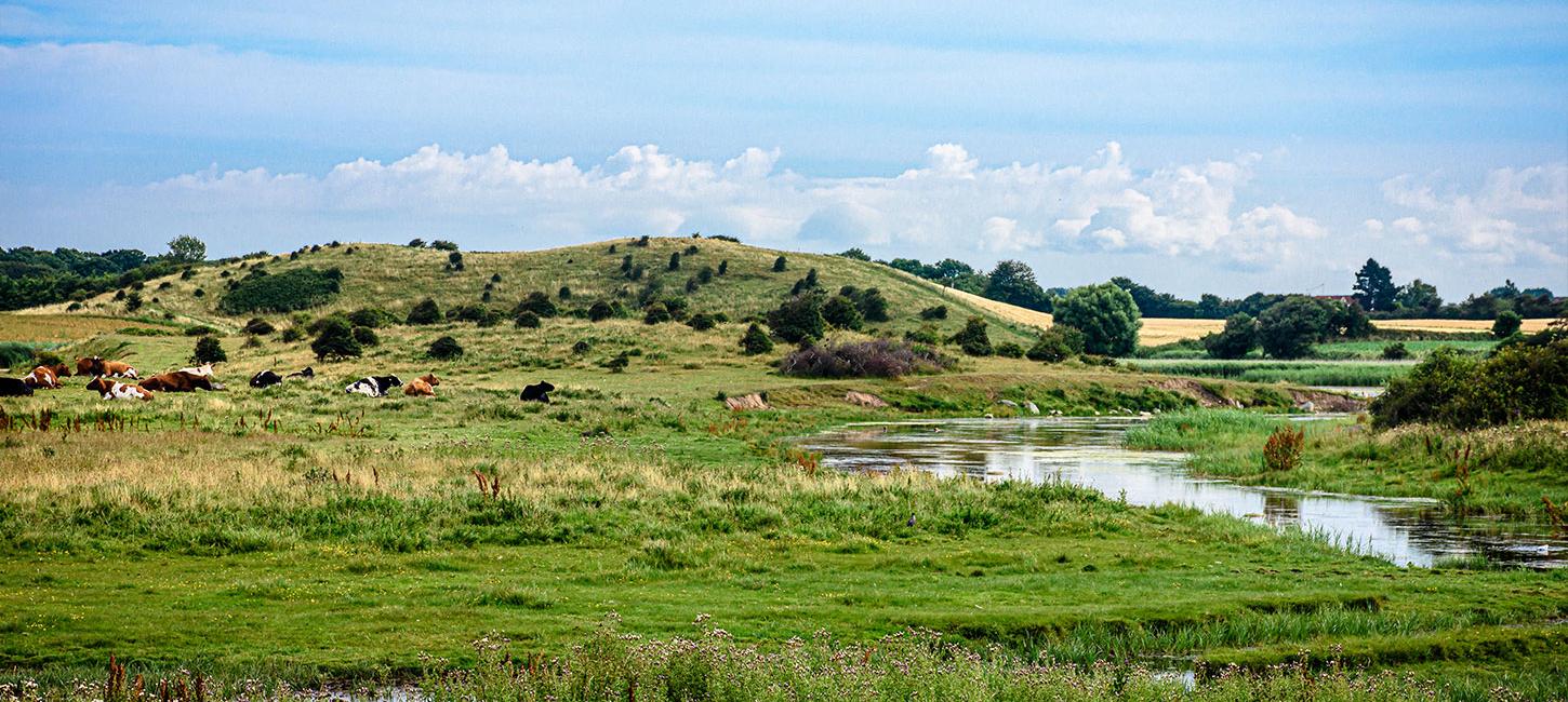 Vand, bakker og vild natur på Langeland