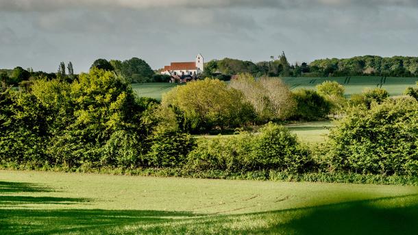 Marker og træer foran Lidelse Kirke