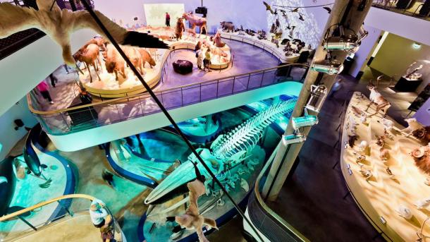 Naturama Svendborg