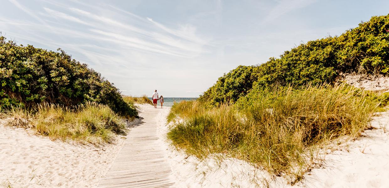 Familie på vej til stranden