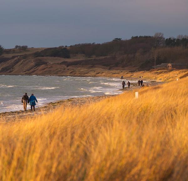 Vandretur på Ristinge Strand med Ristinge Klint i baggrunden