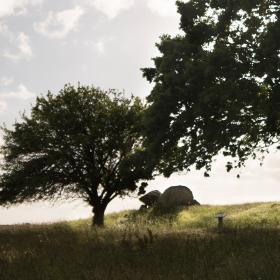 Fortidsminde Ravnebjerg