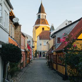 A cobblestone street with colourful houses,  wildflowers and roses in Faaborg