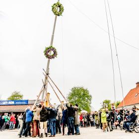 Rejsning af majtræet på Majtræspladsen på Strynø