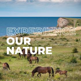 Experience our Nature