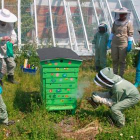 Giv bedre biodiversitet - bæredygtige gaver