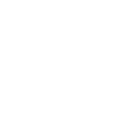 logo Region Syddanmark