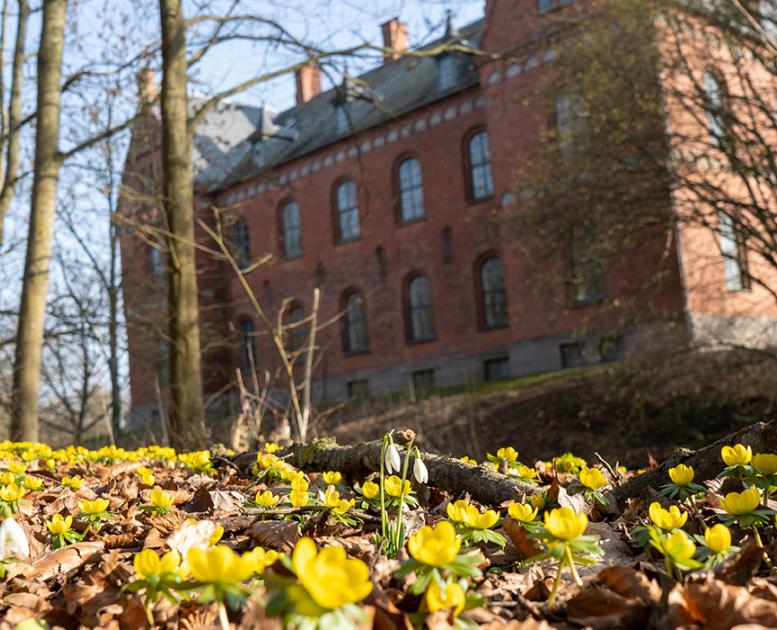 Forårsblomster på Skovsgaard Gods