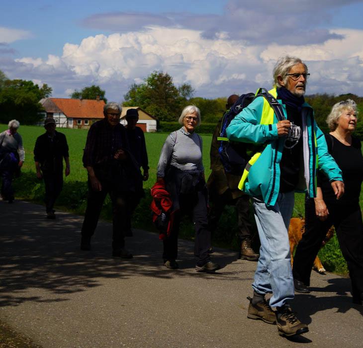 Sti-venner en guidede vandretur